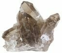 Smoky Quartz Crystal Cluster - Brazil #61462-1